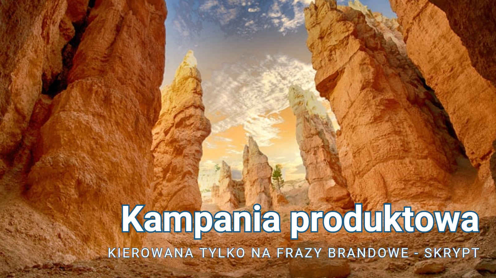 Kampania produktowa kierowana tylko na frazy brandowe - skrypt