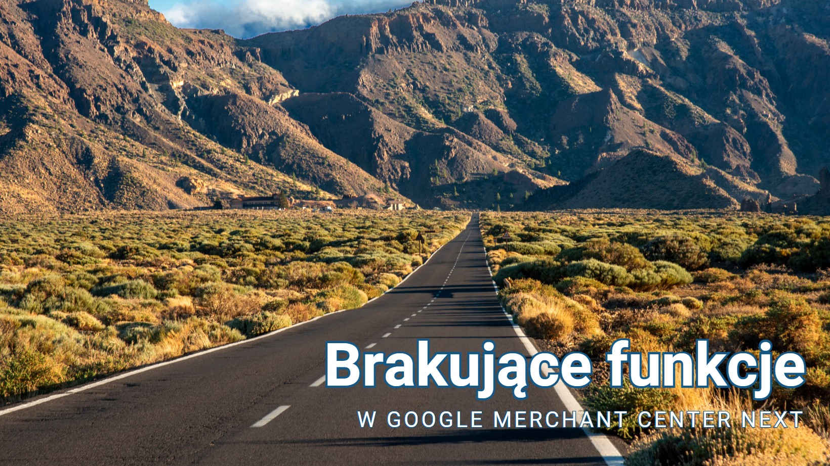 Brakujące funkcje w Google Merchant Center Next