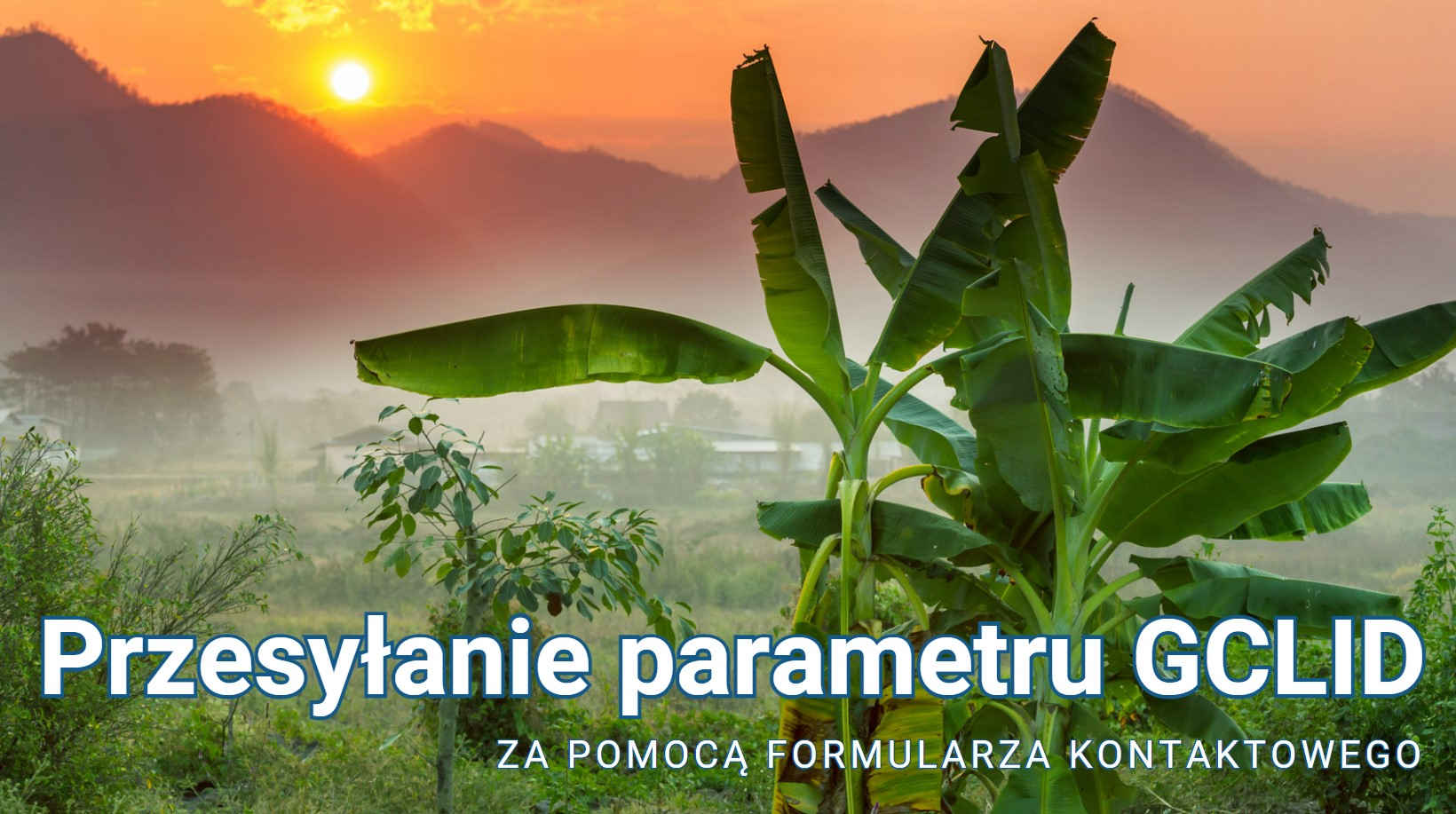 Przesyłanie parametru GCLID za pomocą formularza kontaktowego