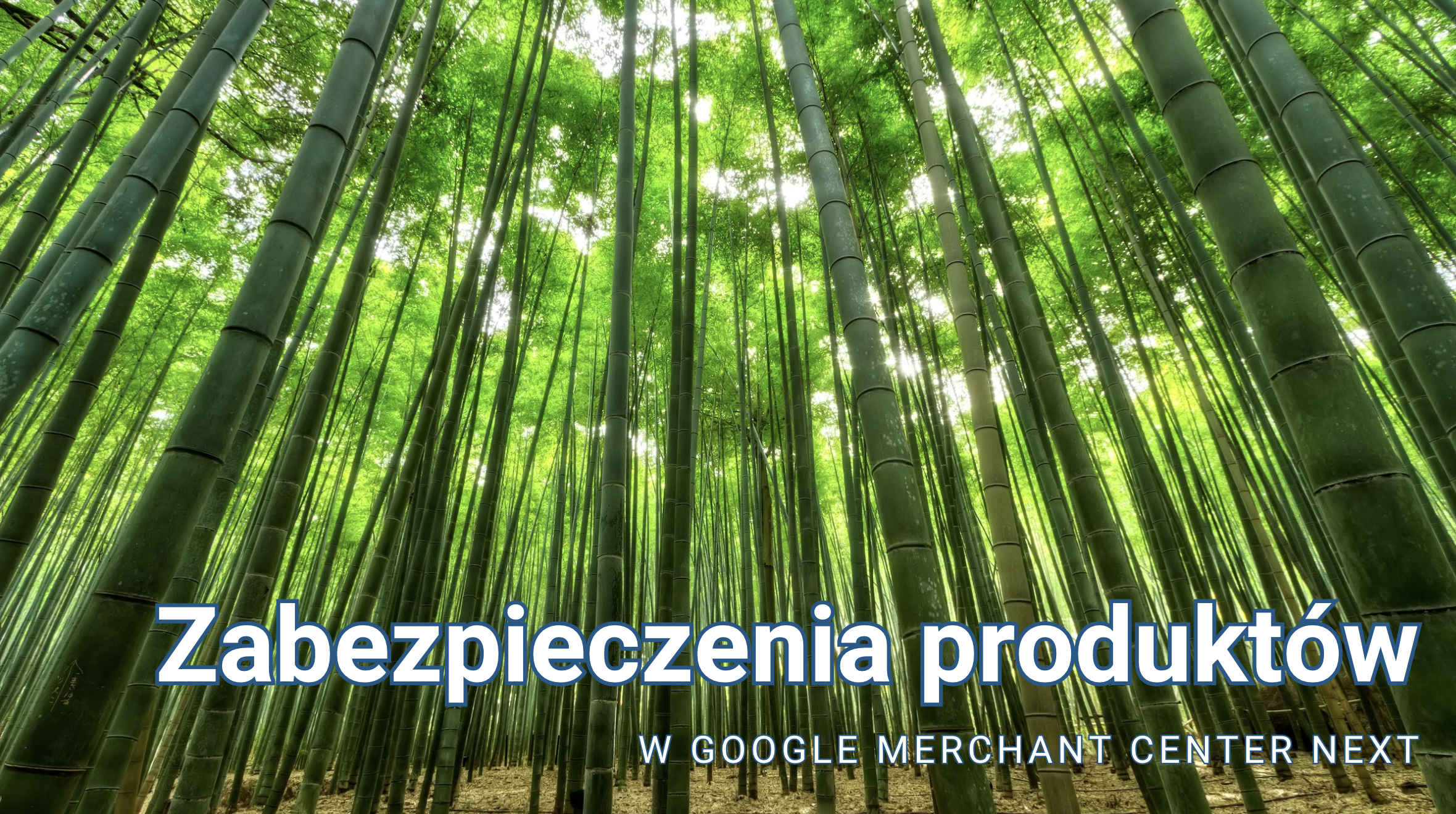 Zabezpieczenia produktów w Google Merchant Center Next